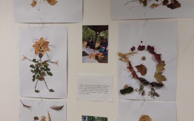 Výstava: Arte týden z programu uměleckých terapií pro lidi s postižením v děčínské Slunečnici